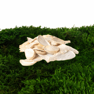 Hlíva ústřičná sušená (Pleurotus Ostreatus)