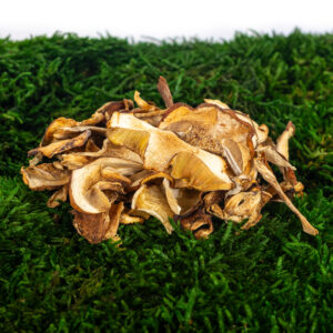 Hřib smrkový sušený