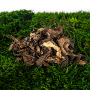 Stroček trubkovitý sušený