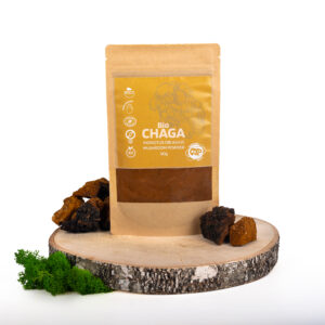 CHAGA SIBIŘSKÁ (INONOTUS OBLIQUUS)