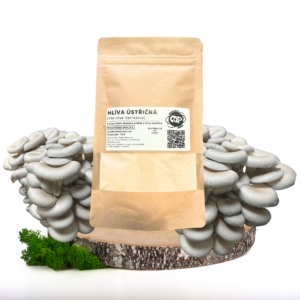 Houbový prášek z hlívy ústřičné, podpora imunity